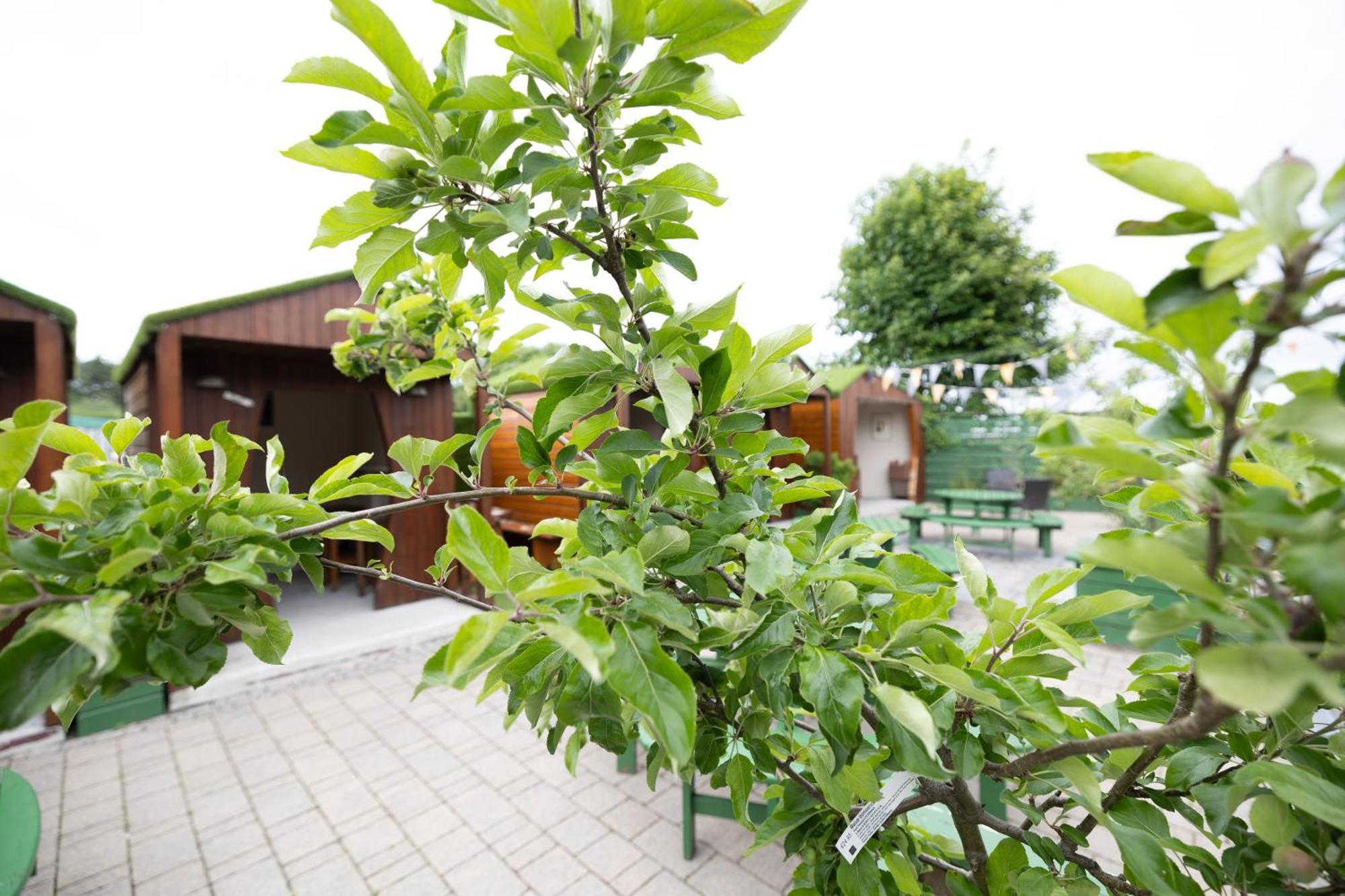 Hotel The Orchard House Kilkenny Exterior foto
